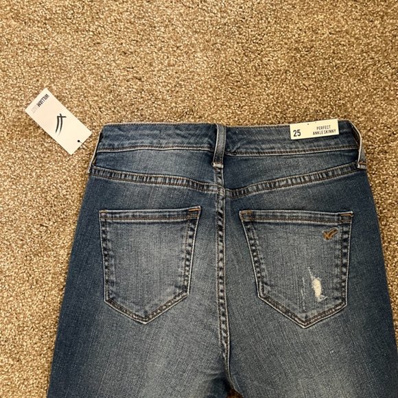 William Rast | Perfect Ankle Skinny Jean, - Picture 5 of 7